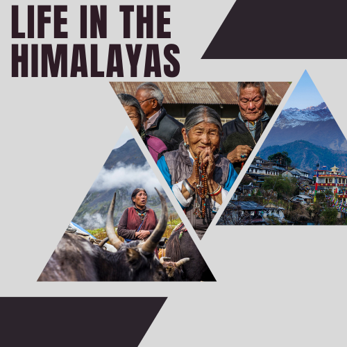 Life in the Himalayas